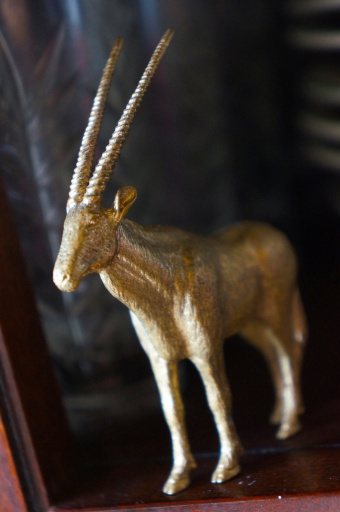 image ibex.jpg
