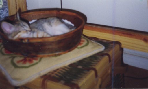 image Album_Memories_01_037.JPG