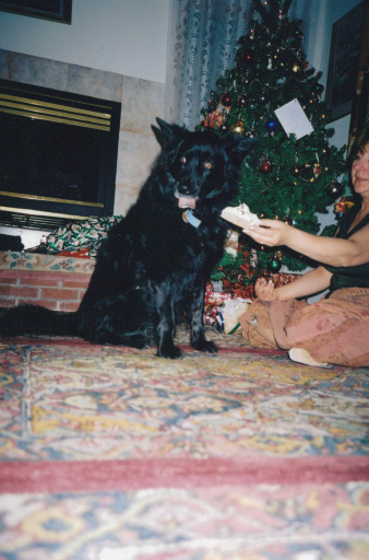 image Album_Memories_01_268.JPG