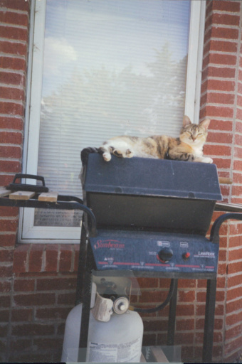 image Album_Memories_01_269.JPG