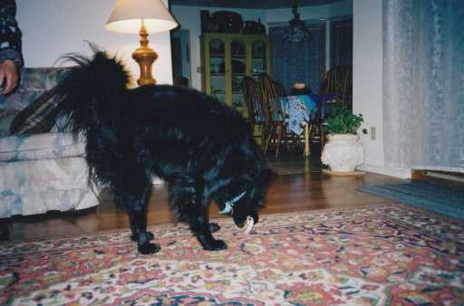 image Album_Memories_01_270.JPG