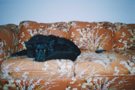image Album_Memories_01_272.JPG