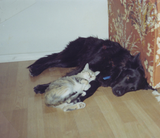 image Album_Memories_01_275.JPG