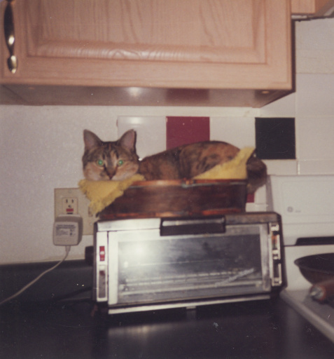 image Album_Memories_01_276.JPG