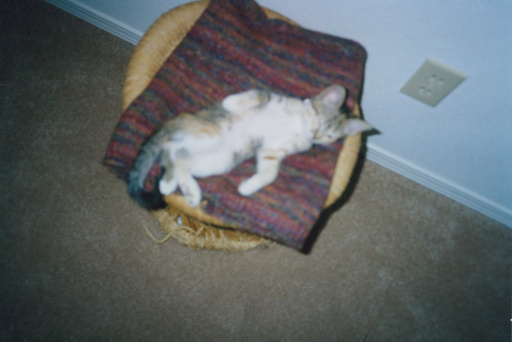 image Album_Memories_01_279.JPG