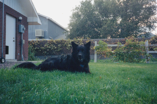 image Album_Memories_01_281.JPG