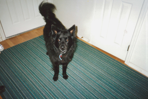 image Album_Memories_01_282.JPG