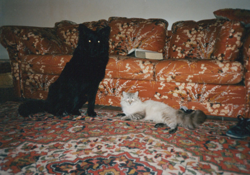 image Album_Memories_01_287.JPG