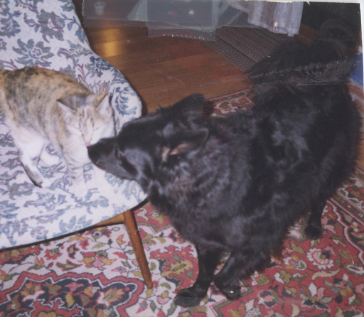 image Album_Memories_01_288.JPG