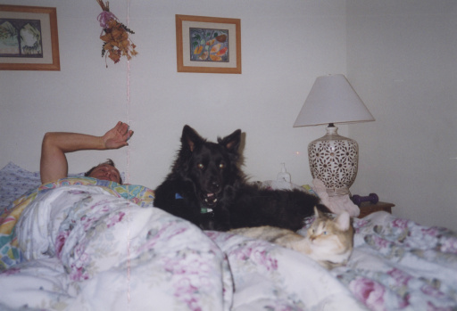 image Album_Memories_01_289.JPG