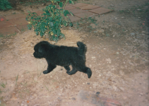 image Album_Memories_01_291.JPG