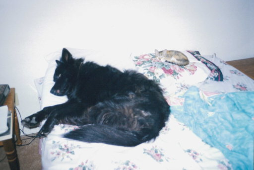 image Album_Memories_01_293.JPG