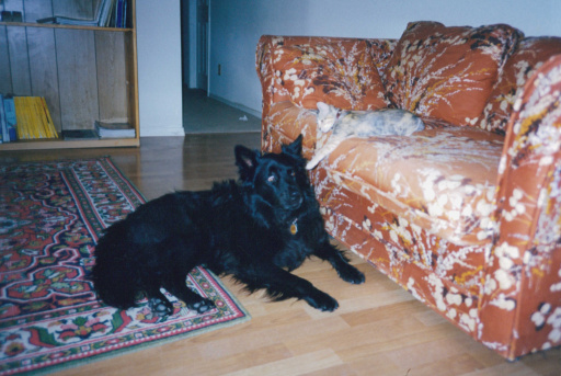 image Album_Memories_01_294.JPG