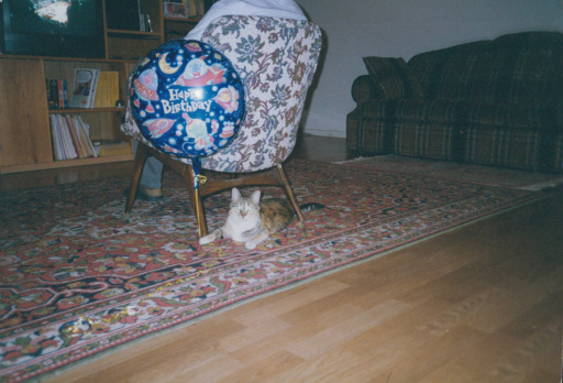 image Album_Memories_01_295.JPG