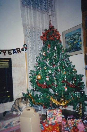 image Album_Memories_01_298.JPG