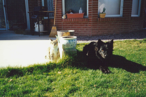 image Album_Memories_01_461.JPG